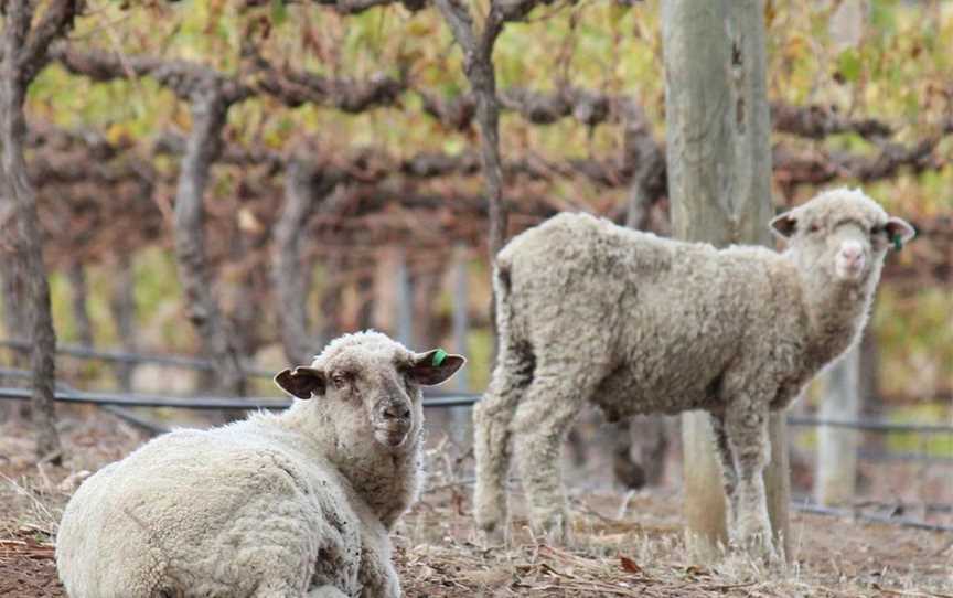 Beulah Wines, Wineries in Boyup Brook