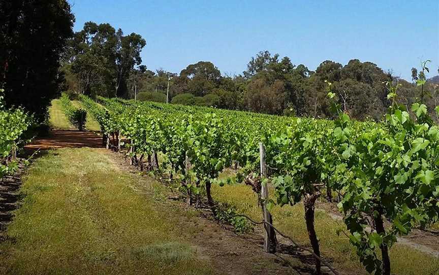 Stringybark Winery & Restaurant, Wineries in Chittering