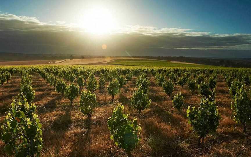 Swinney, Wineries in Frankland River