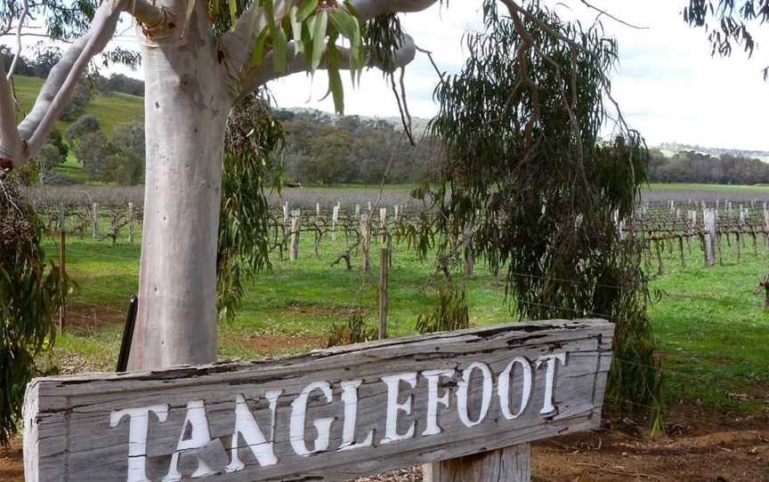 Tanglefoot, Wineries in Wandering