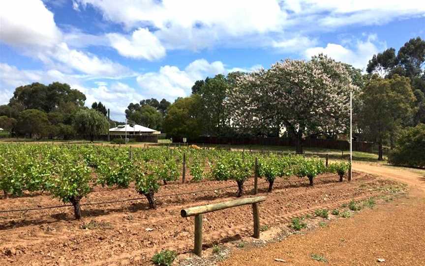 Mann Winery, Wineries in Baskerville