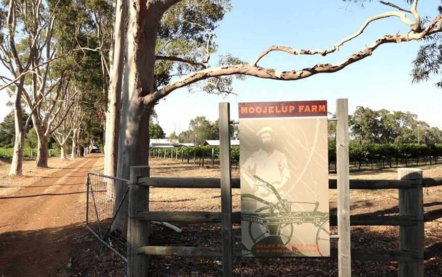 Moojelup Farm Wines, Wineries in Cookernup