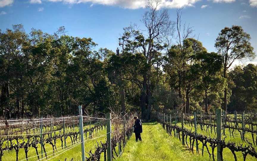 Morlet of Margaret River, Wineries in Cowaramup