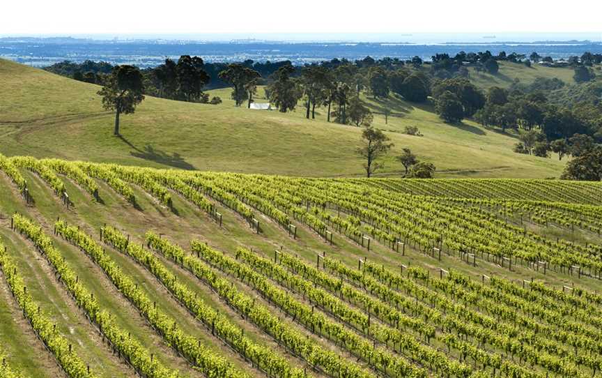 Willow Bridge Estate, Wineries in Henty