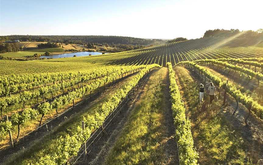 Willow Bridge Estate, Wineries in Henty