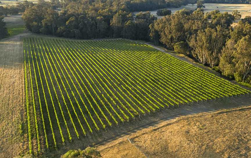 Windfall Wine Estate, Wineries in North Boyanup