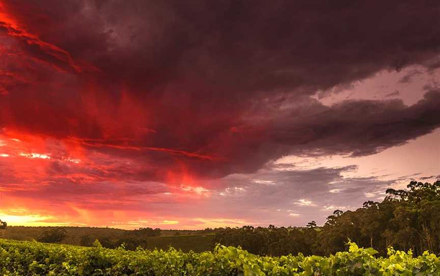 Pemberley, Wineries in Eastbrook