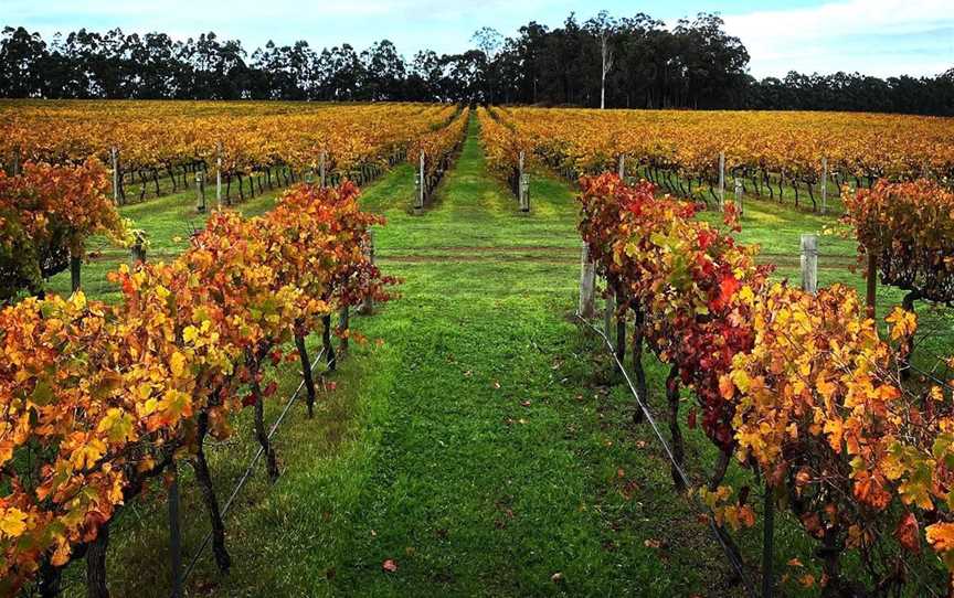 Peos Estate, Wineries in West Manjimup