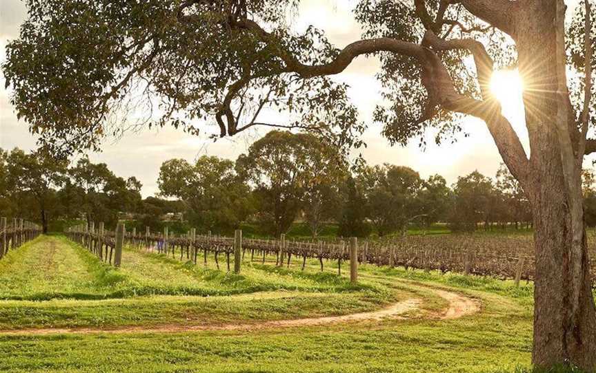 Corymbia, Wineries in Upper Swan