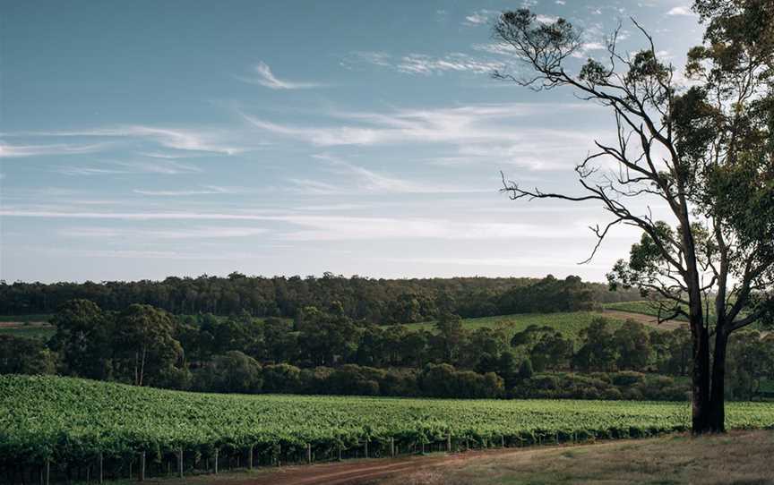 Forester Estate, Wineries in Yallingup Siding