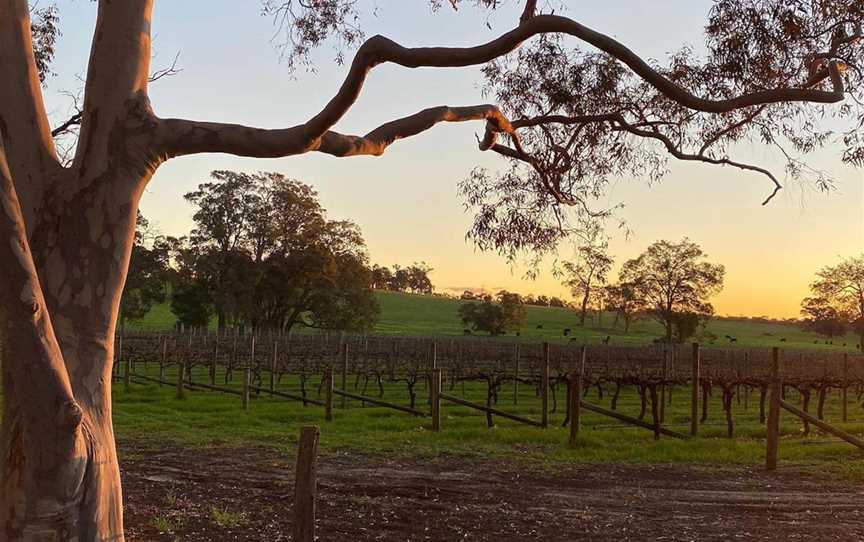 Crooked Brook Wines, Wineries in Crooked Brook