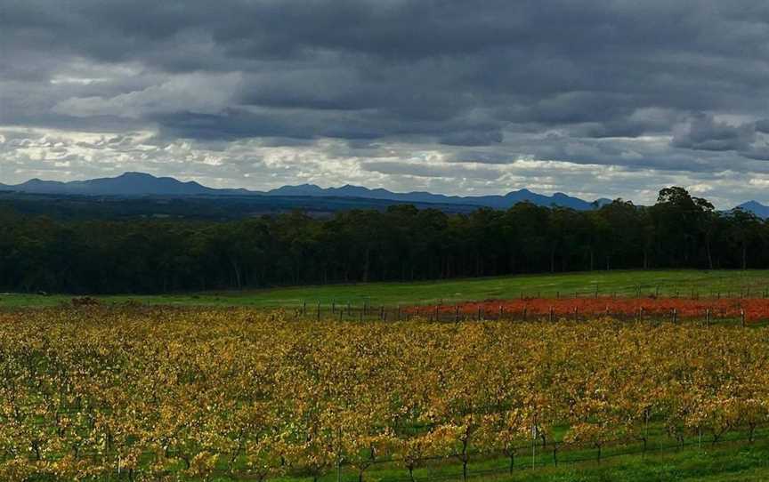 Montefalcon Vineyard, Wineries in Porongurup