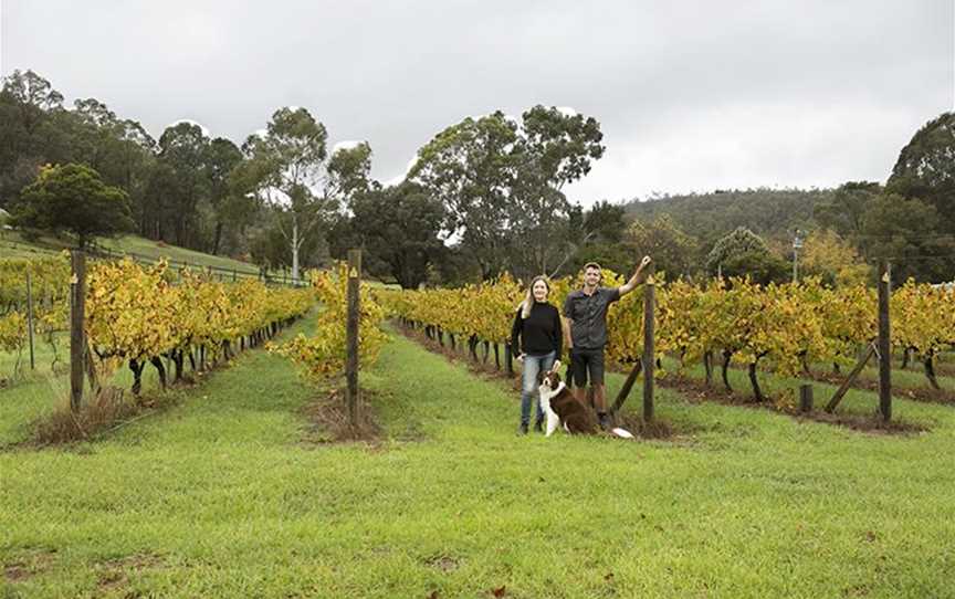 The Packing Shed at Lawnbrook, Wineries in Bickley