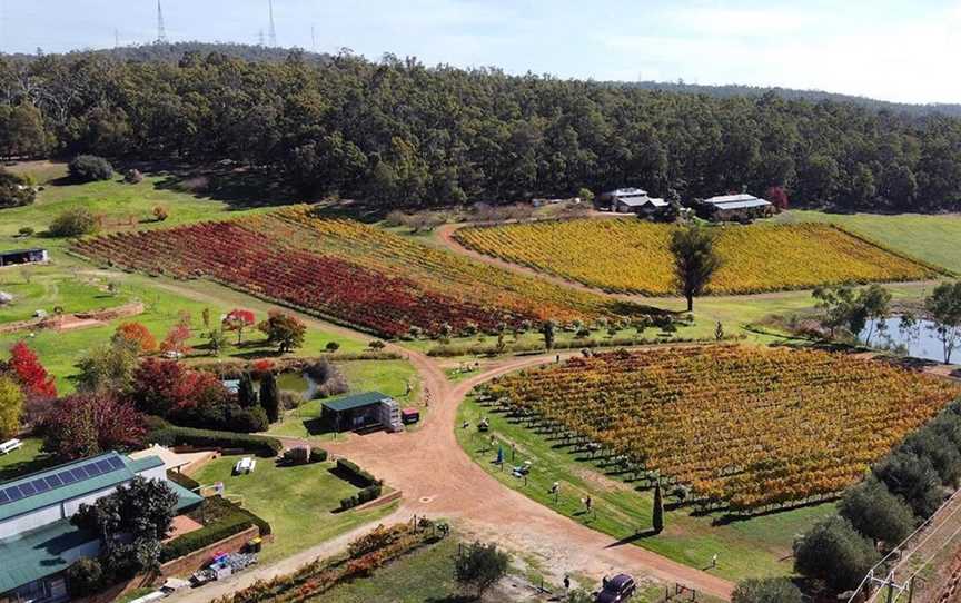 MyattsField Vineyards and Winery, Wineries in Carmel