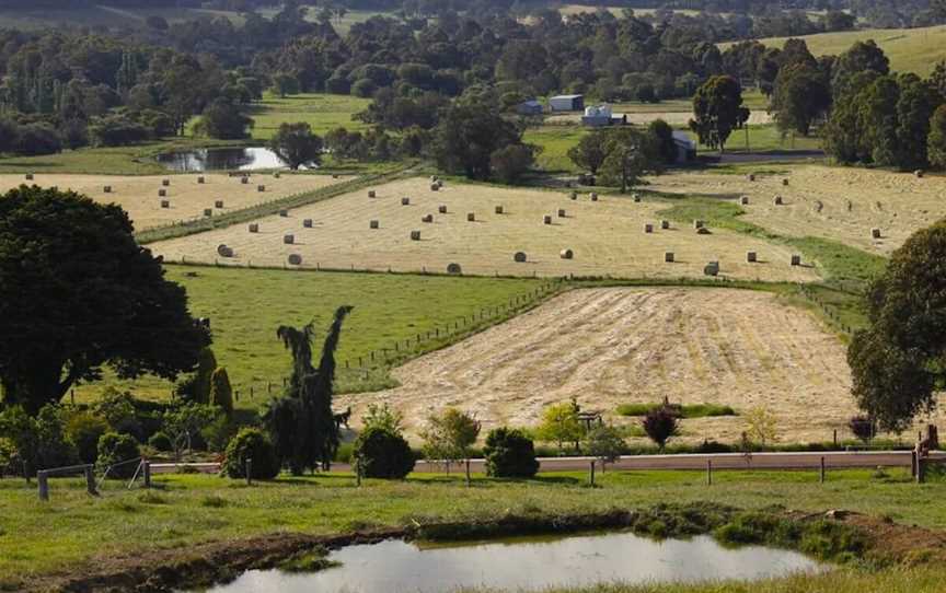 Mandalay Road, Wineries in Glen Mervyn