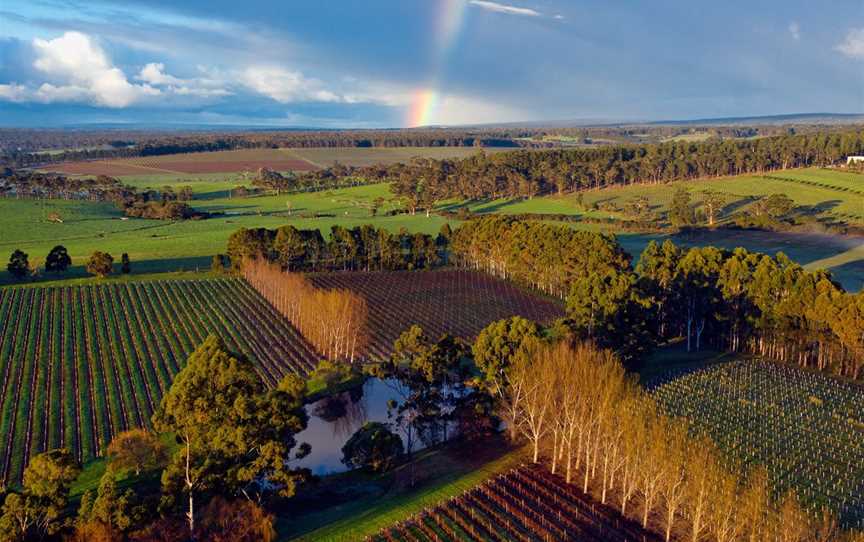 Cape Landing, Wineries in Forest Grove