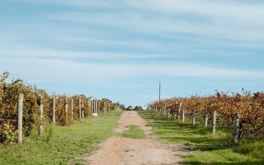 Rosabrook Wines, Wineries in Rosa Brook