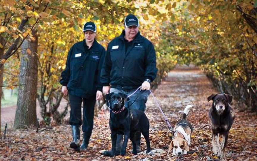 Truffle Hill, Wineries in Manjimup