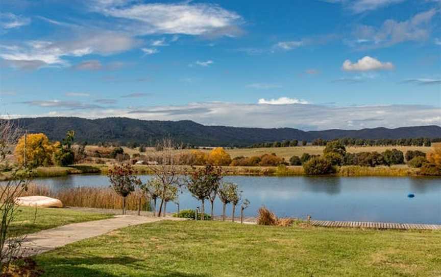 Allegiance Wines, Wineries in Tumbarumba