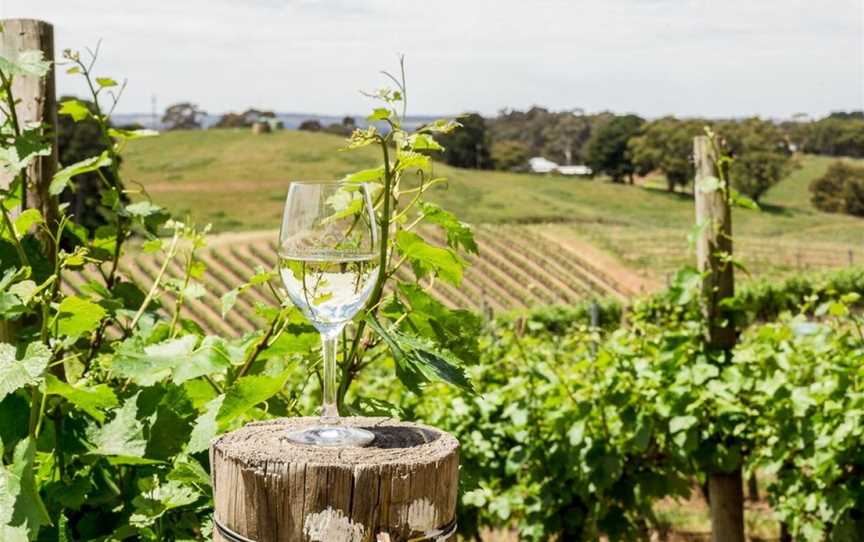 Anderson Hill, Lenswood, South Australia