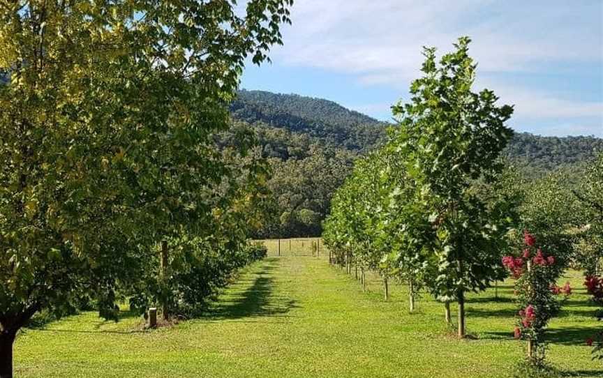 Annapurna Estate, Mount Beauty, Victoria