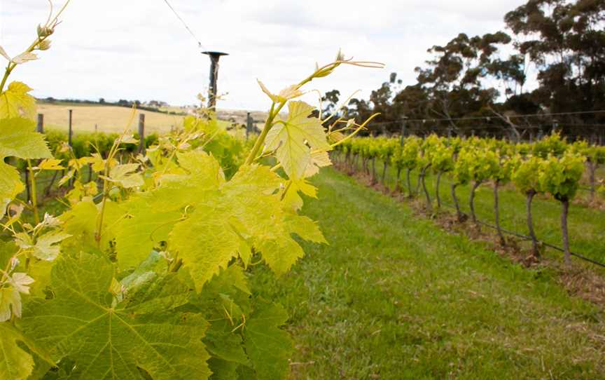 Arundel Farm Estate, Wineries in Keilor