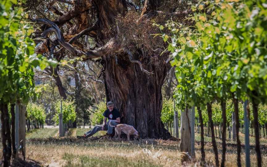 ATR Wines, Wineries in Armstrong