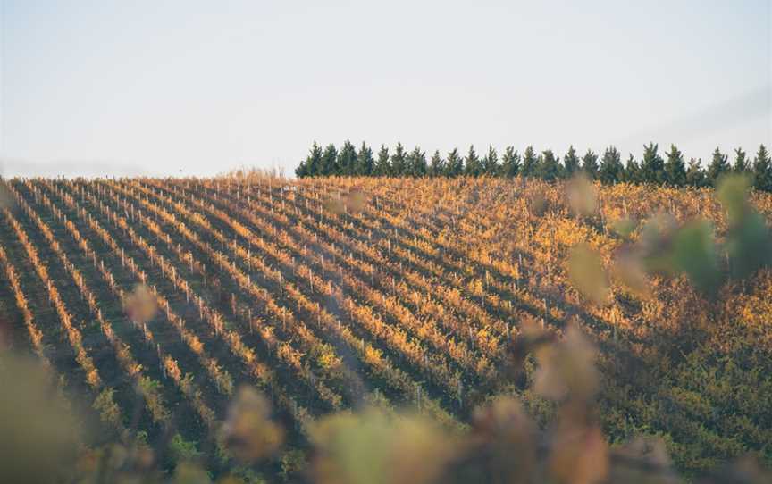 Austin's Wines, Sutherlands Creek, Victoria