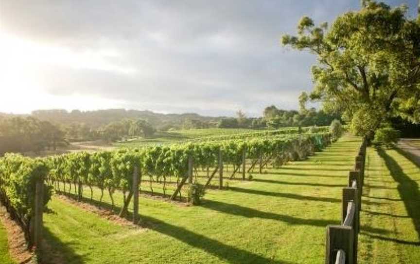 Baillieu, Wineries in Merricks