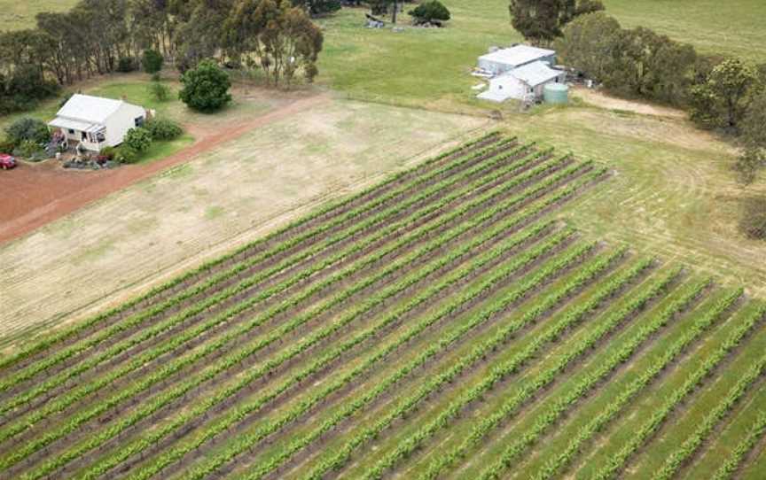 Bochara Wines, Wineries in Hamilton