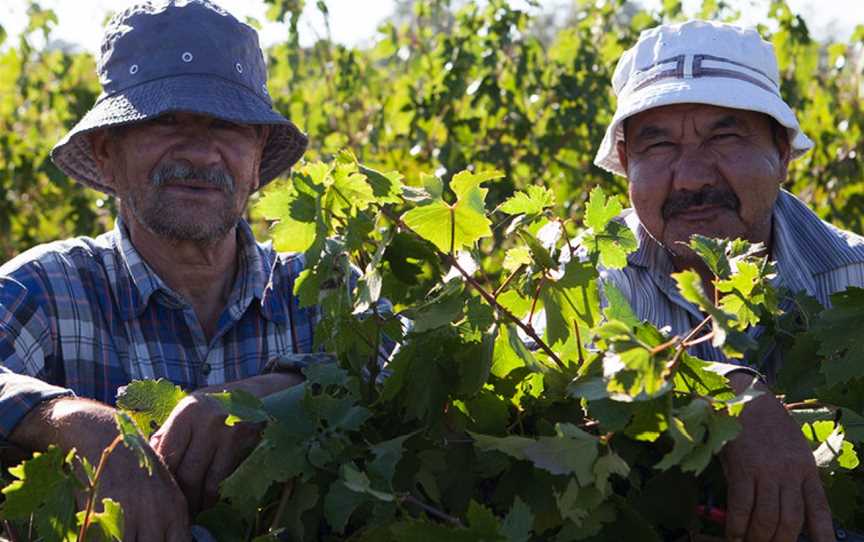 Box Grove Vineyard, Tabilk, Victoria