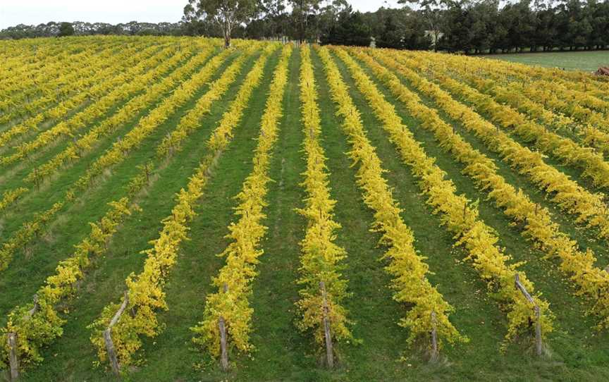 Captains Creek Organic Wines, Blampied, Victoria