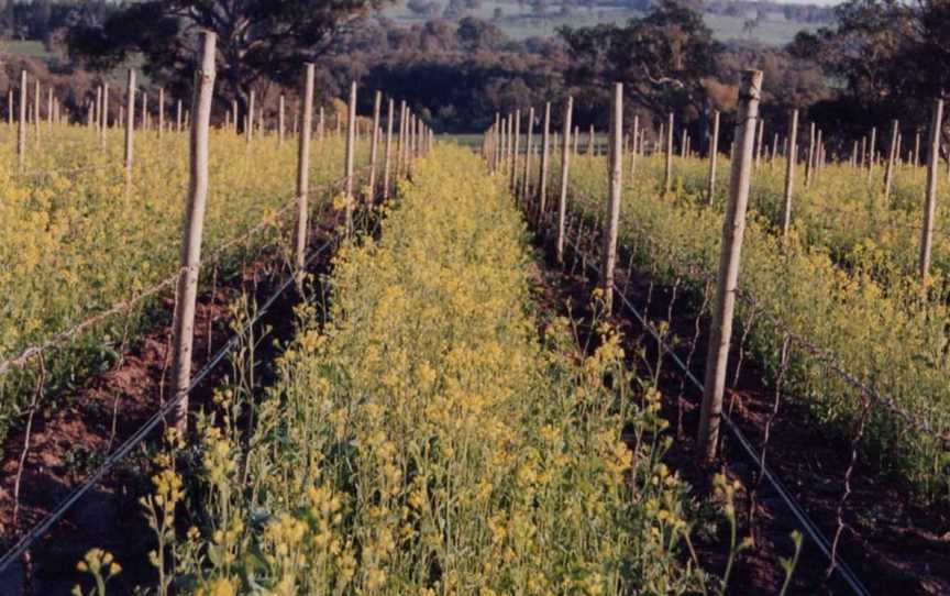 Castagna, Wineries in Beechworth