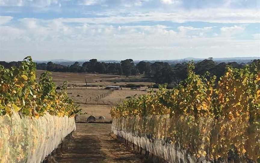 Chanters Ridge, Wineries in Tylden