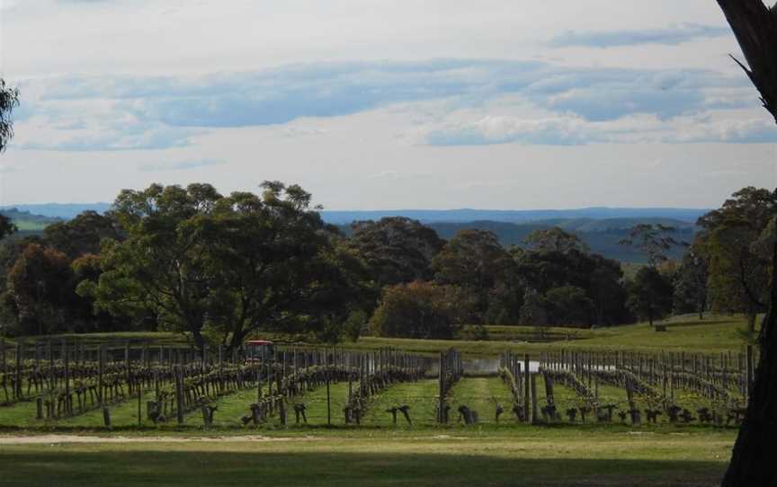 Cobaw Ridge, Pastoria, Victoria