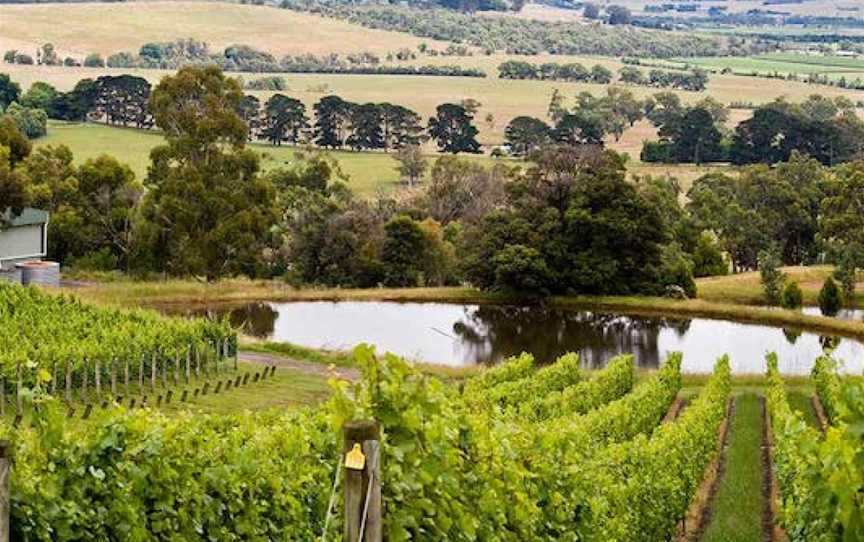 Coldstream Hills, Wineries in Coldstream