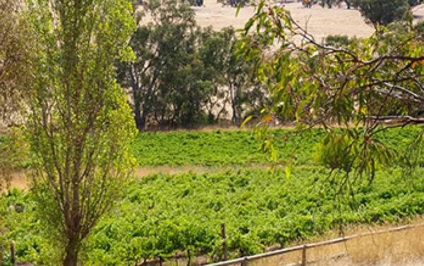 Condie Estate, Wineries in Heathcote