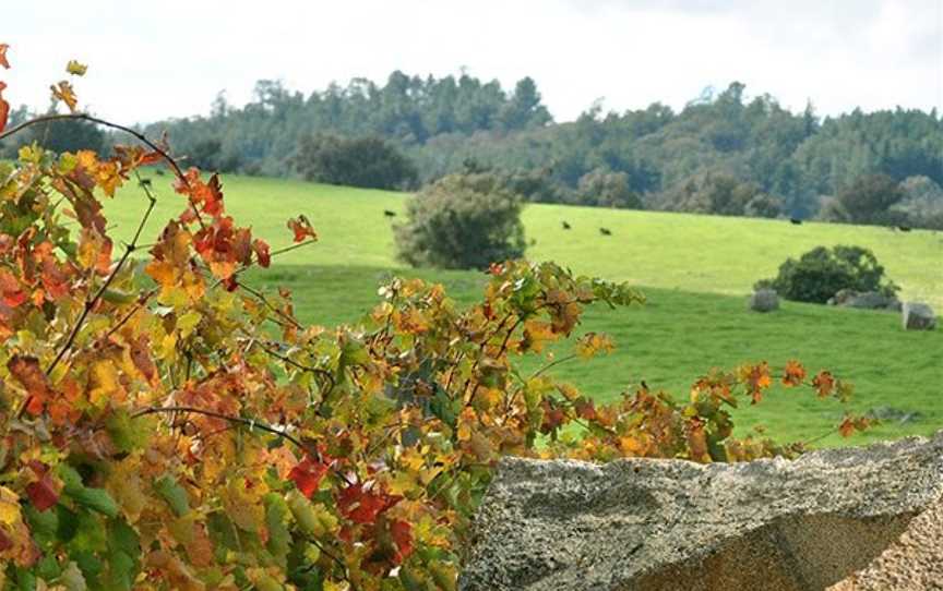 Domenica Wines, Wineries in Beechworth