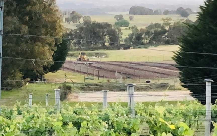 Double Oaks, Wineries in Lancefield