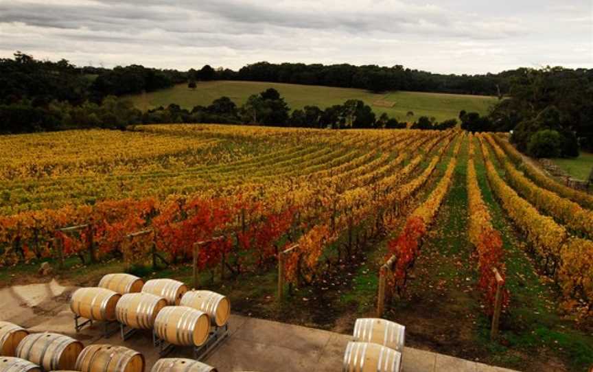 Foxeys Hangout, Wineries in Red Hill