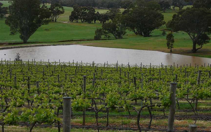 Glenwillow Wines, Wineries in Epsom