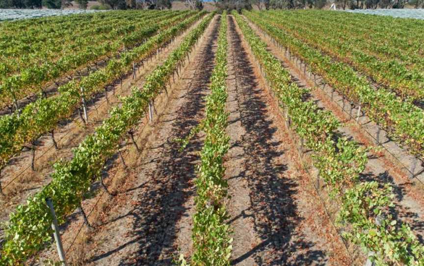 Henty Estate, Hamilton, Victoria