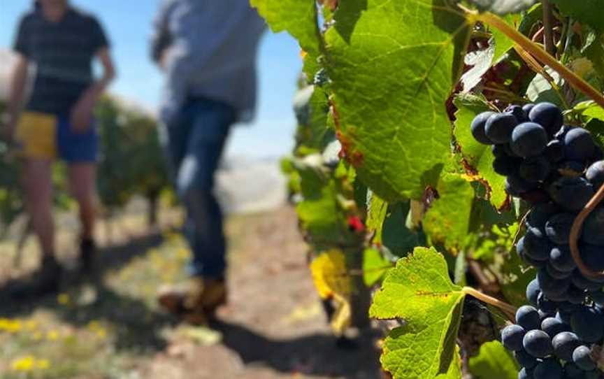 Herrmann Wines, Wineries in Dunkeld