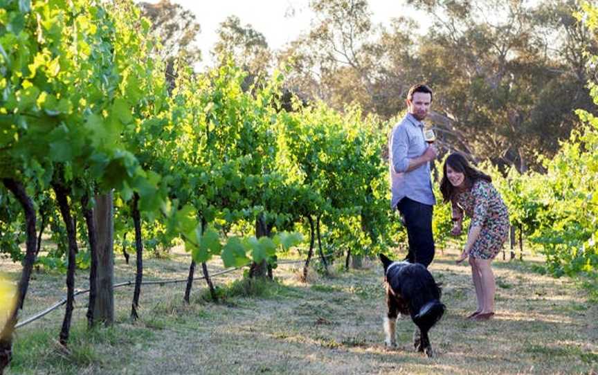 Indigo Vineyard, Everton Upper, Victoria