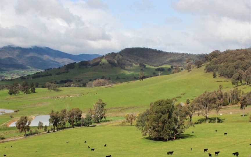 Jamsheed, Wineries in Preston