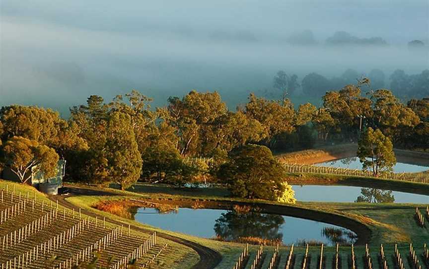 Kensington Wines, Wineries in Whiteheads Creek