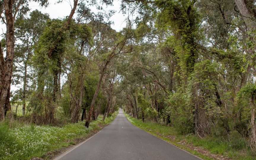 Killara Estate, Wineries in Seville East