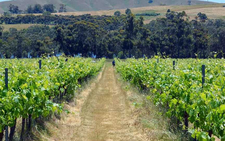 Kimbarra Wines, Wineries in Ararat