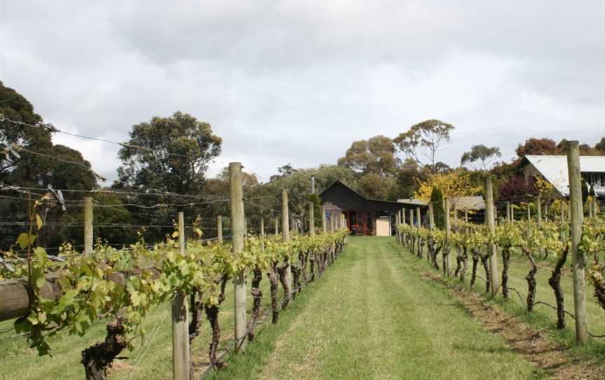 Kings Creek Vineyard, Wineries in Balnarring