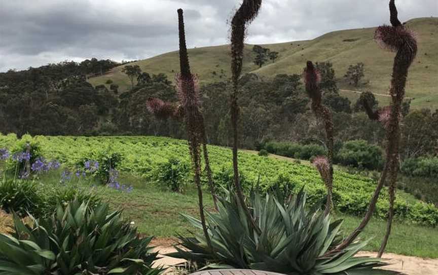 Moorabool Ridge Vineyard & Cafe, Lethbridge, Victoria